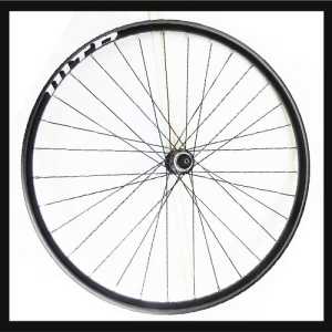 Капли и Шини